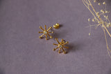 5 cz star ear studs