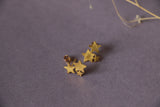 Stary ear studs