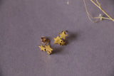 Stary ear studs