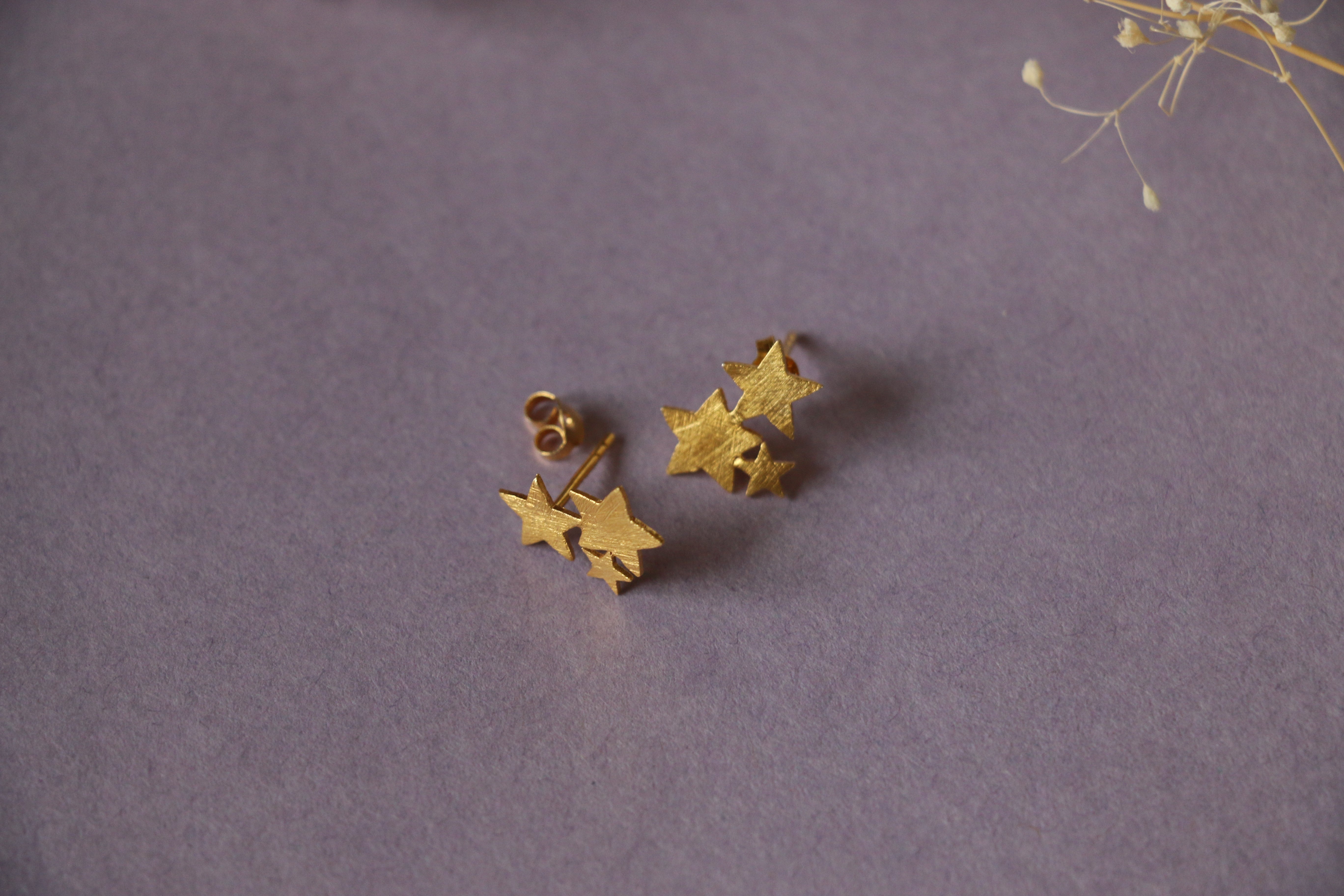 Stary ear studs