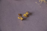 Stary ear studs