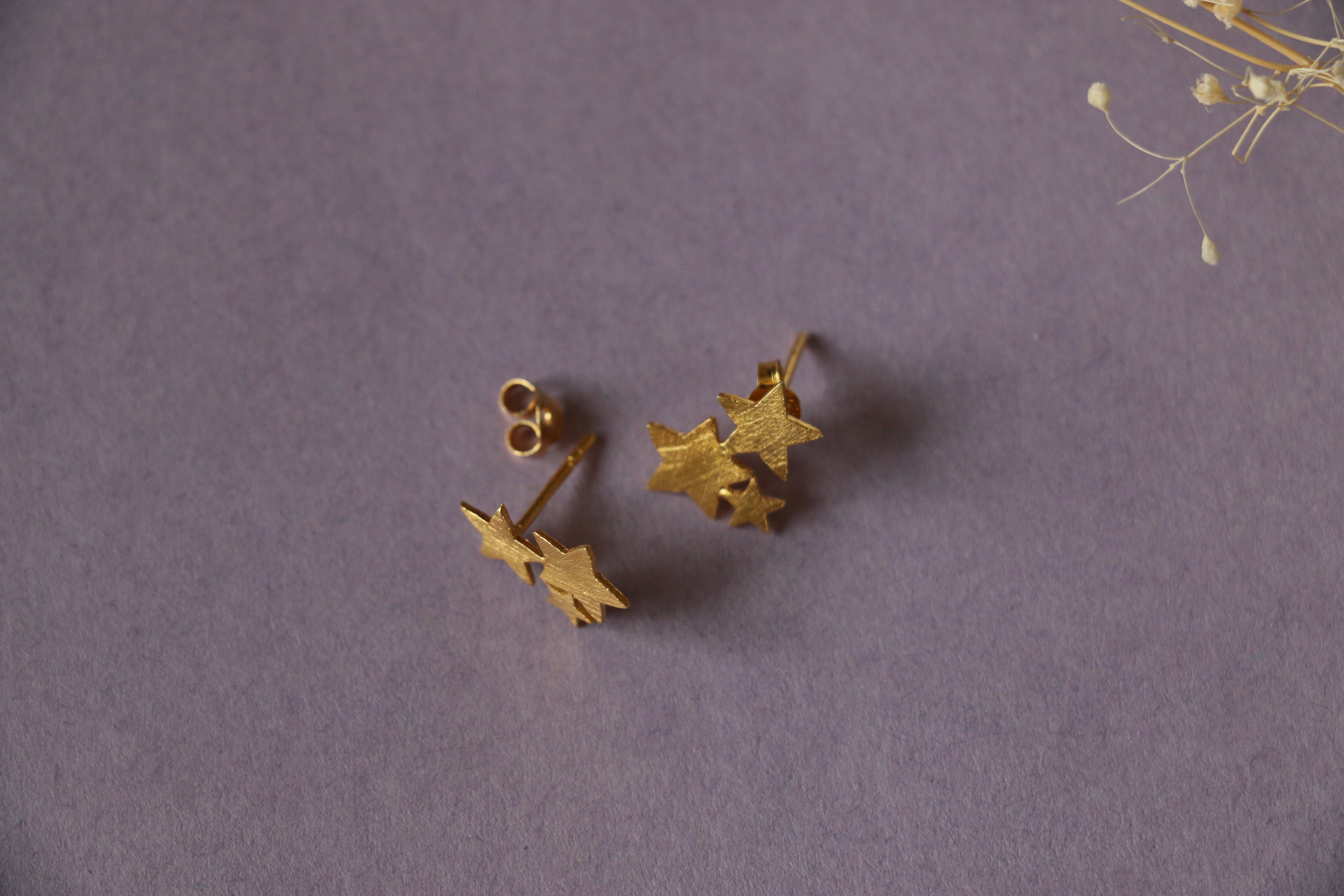 Stary ear studs