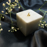 Capricorn watch button