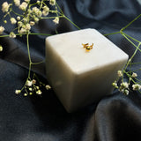 Capricorn watch button