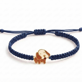 Dog 92.5 Silver rakhi in blue thread