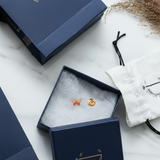 Butterfly 92.5 silver Lapel pin