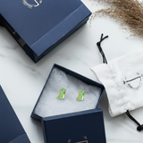 Dinosaur 92.5 silver ear studs
