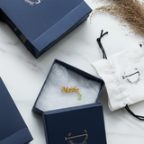 Customized name dinosour 92.5 silver brooch